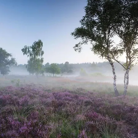Tipi Tent Aan De Grens Duitsland *